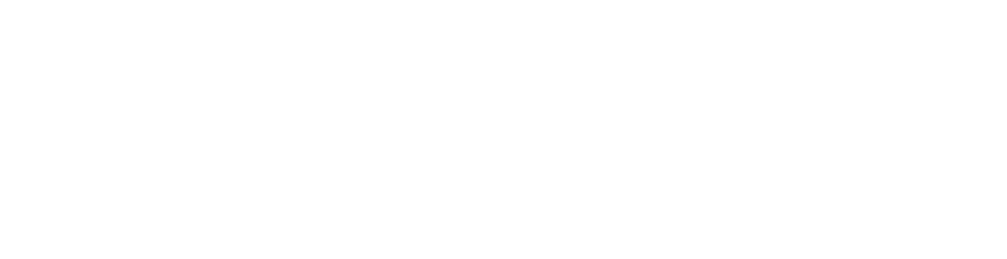 Navigant